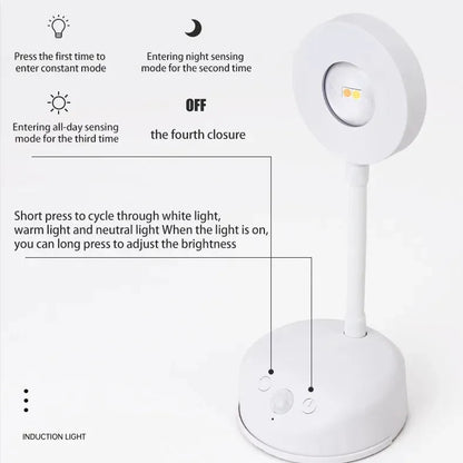 USB Rechargeable Picture Light – Motion Sensor 3 Colors