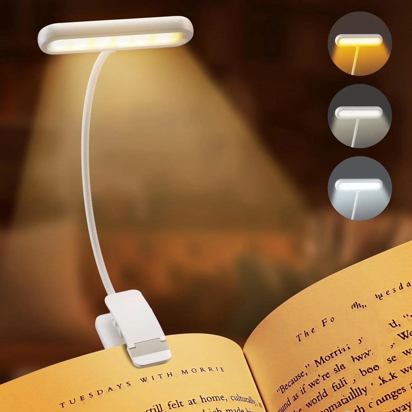 Book Light for Reading in Bed – USB Rechargeable with Adjustable Brightness